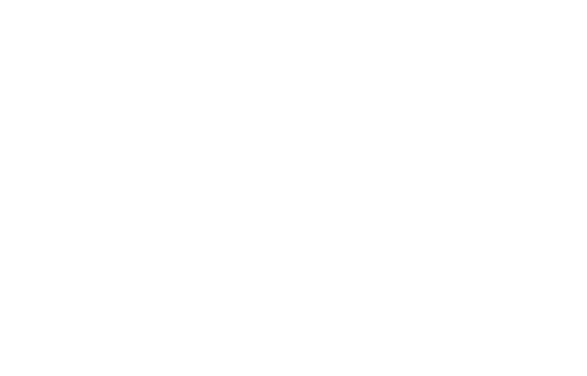 BearingPoint_Logo referenz weiss ohne hintergrund