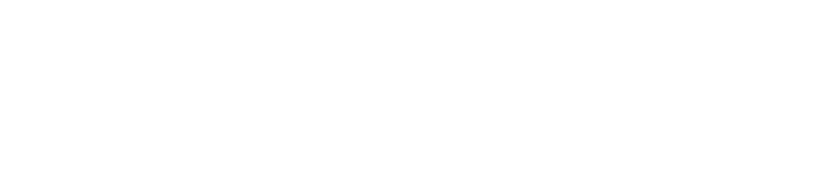 BearingPoint_Logo referenz weiss ohne hintergrund