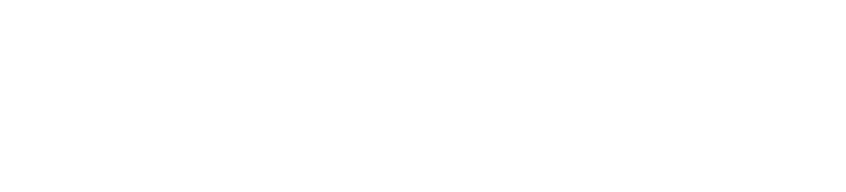 BearingPoint_Logo referenz weiss ohne hintergrund