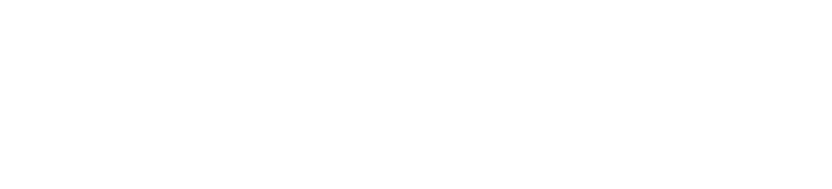 BearingPoint_Logo referenz weiss ohne hintergrund